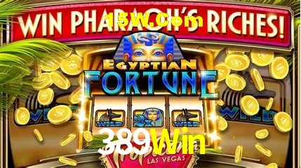 Sistemas de Segurança 389Win